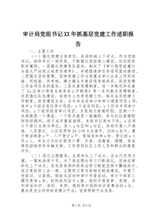 审计局党组书记XX年抓基层党建工作述职报告