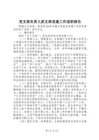 党支部负责人抓支部党建工作述职报告