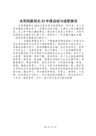 水利局副局长XX年度总结与述职报告