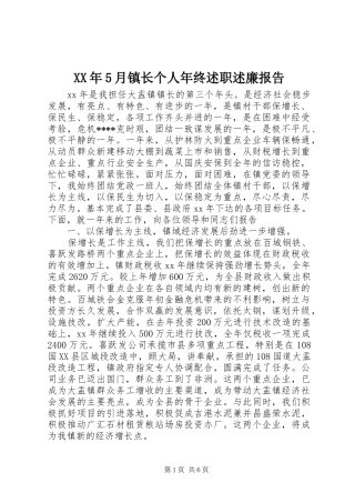 XX年5月镇长个人年终述职述廉报告