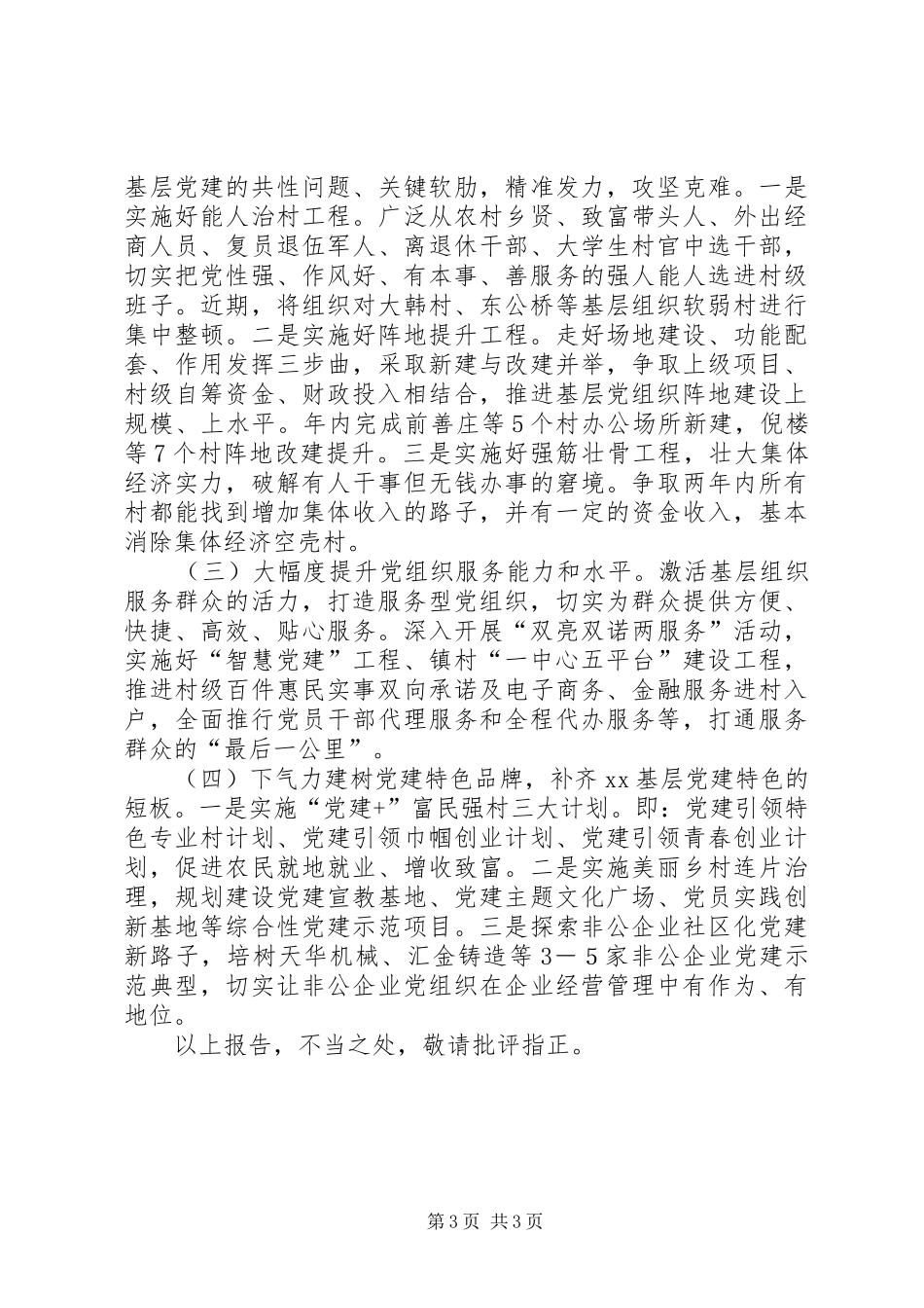 乡镇党委书记XX年度抓基层党建述职评议会述职报告_第3页