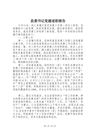 县委书记党建述职报告