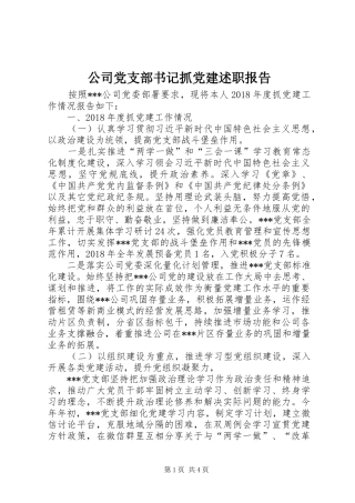 公司党支部书记抓党建述职报告