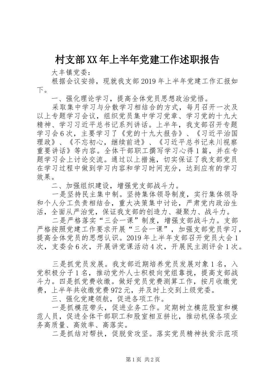 村支部XX年上半年党建工作述职报告_第1页