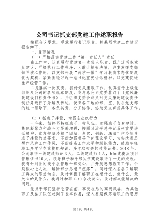 公司书记抓支部党建工作述职报告