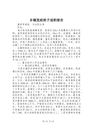 乡镇党政班子述职报告