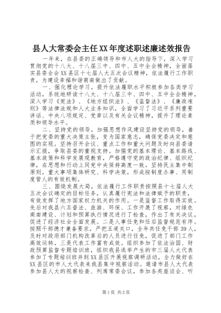 县人大常委会主任XX年度述职述廉述效报告