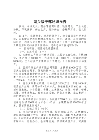 副乡级干部述职报告