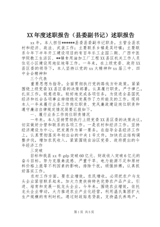 XX年度述职报告（县委副书记）述职报告