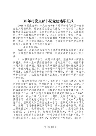 XX年村党支部书记党建述职汇报