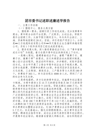 团市委书记述职述廉述学报告