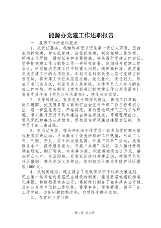 能源办党建工作述职报告