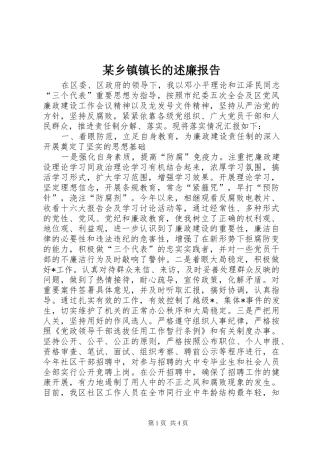 某乡镇镇长的述廉报告