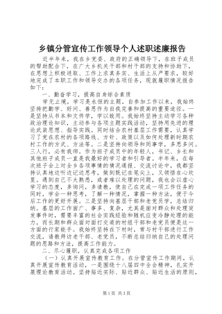 乡镇分管宣传工作领导个人述职述廉报告
