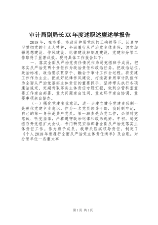 审计局副局长XX年度述职述廉述学报告