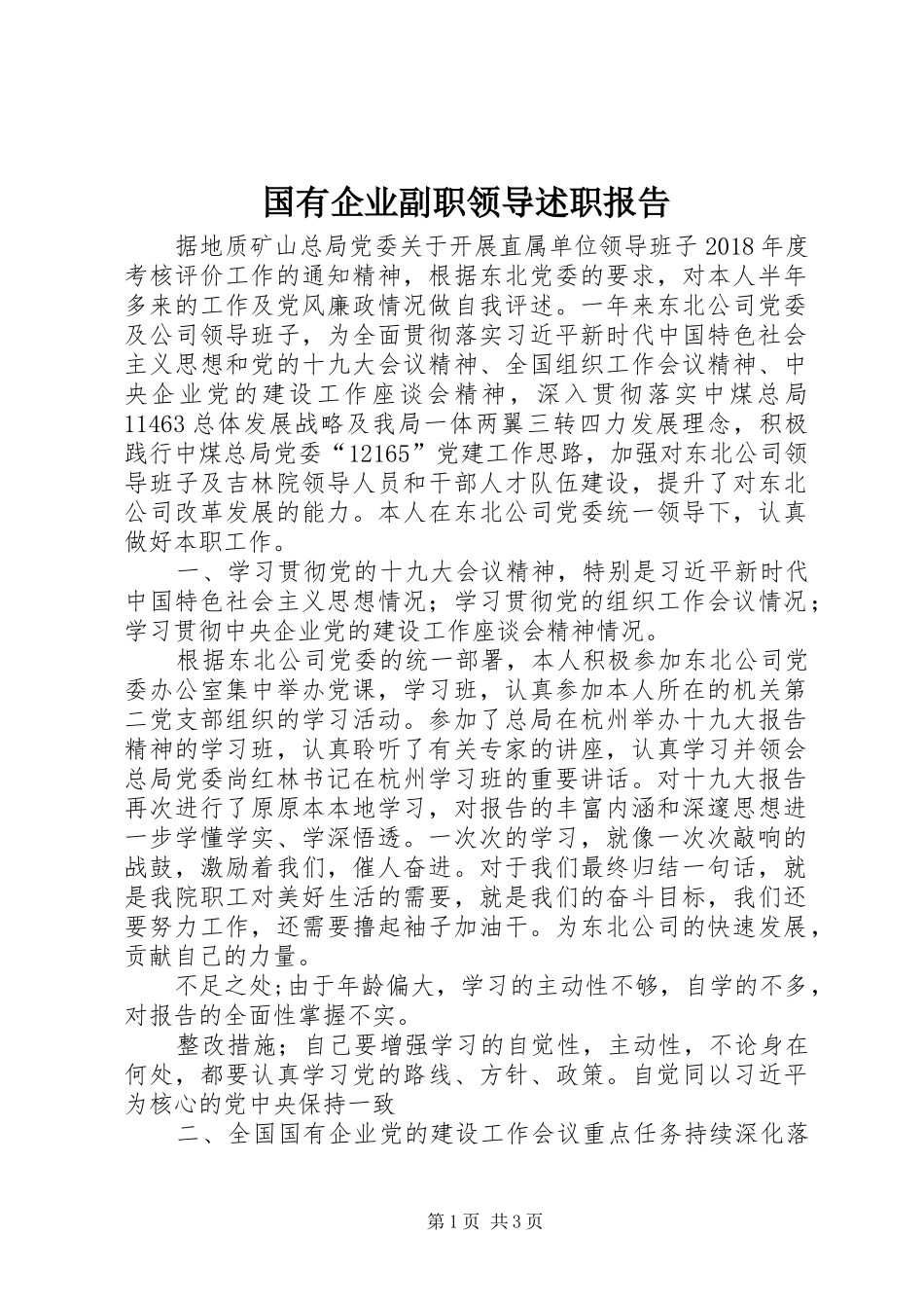 国有企业副职领导述职报告_第1页