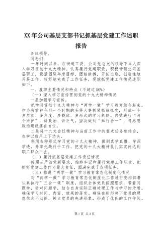 XX年公司基层支部书记抓基层党建工作述职报告