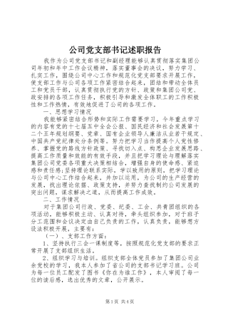 公司党支部书记述职报告