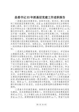 县委书记XX年抓基层党建工作述职报告