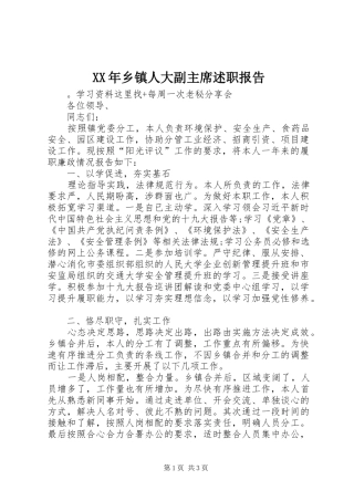 XX年乡镇人大副主席述职报告