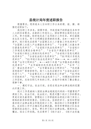 县统计局年度述职报告