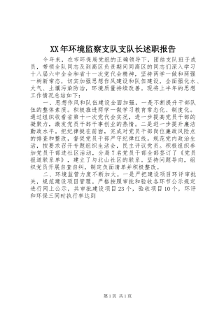 XX年环境监察支队支队长述职报告