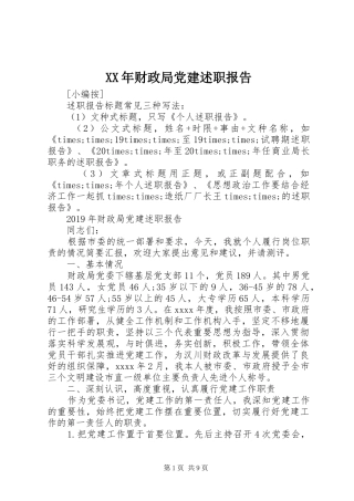 XX年财政局党建述职报告