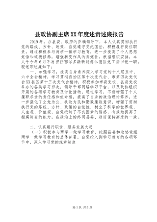 县政协副主席XX年度述责述廉报告