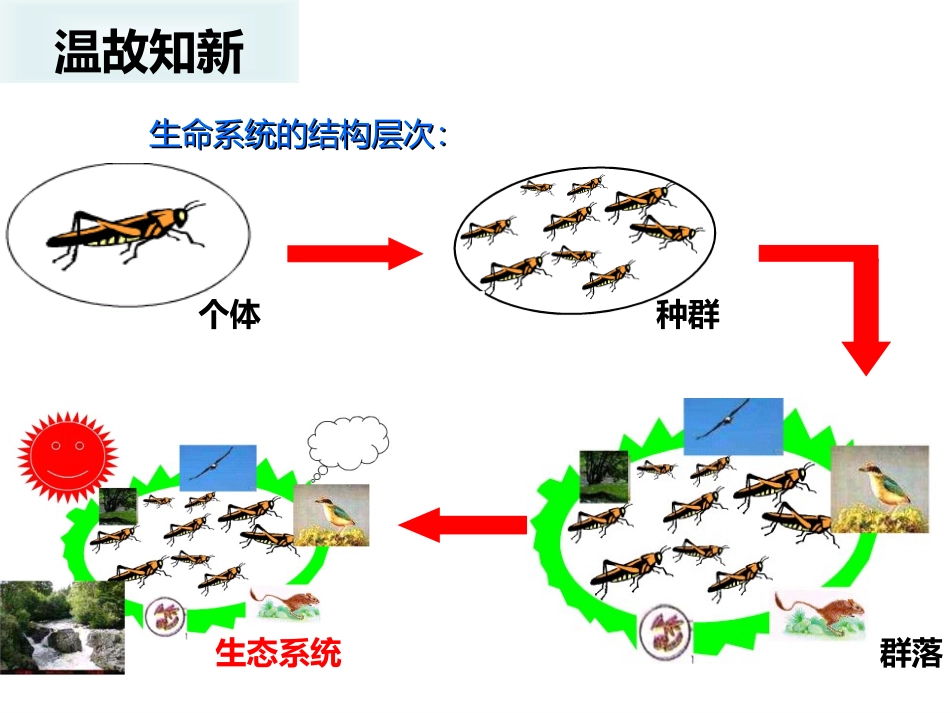 生物与环境构成生态系统_第1页