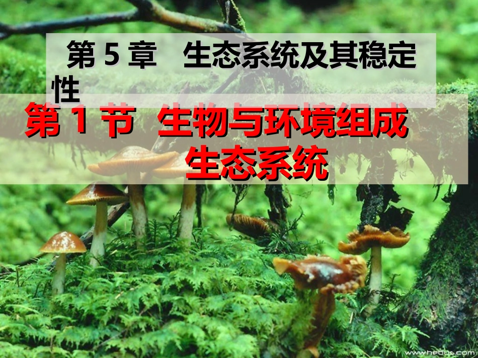 生物与环境构成生态系统_第2页