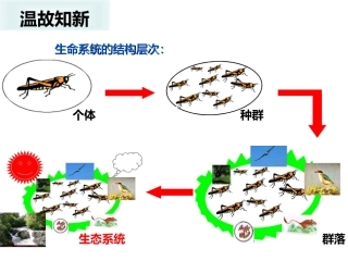 生物与环境构成生态系统