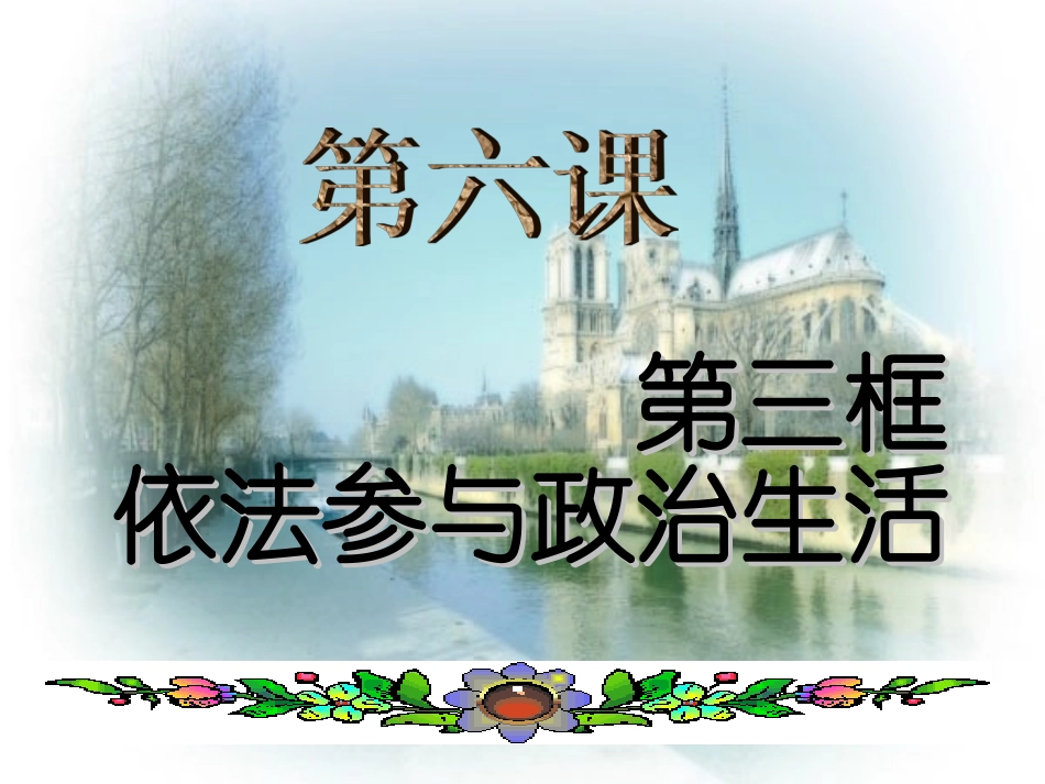 依法参与政治生活(2).PPT_第1页