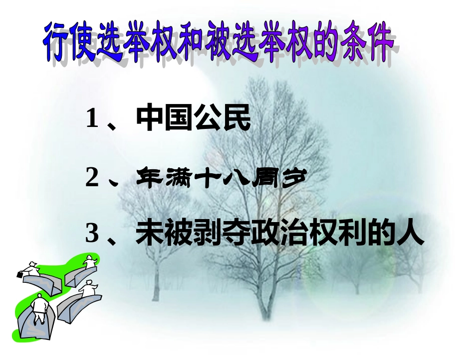 依法参与政治生活(2).PPT_第3页
