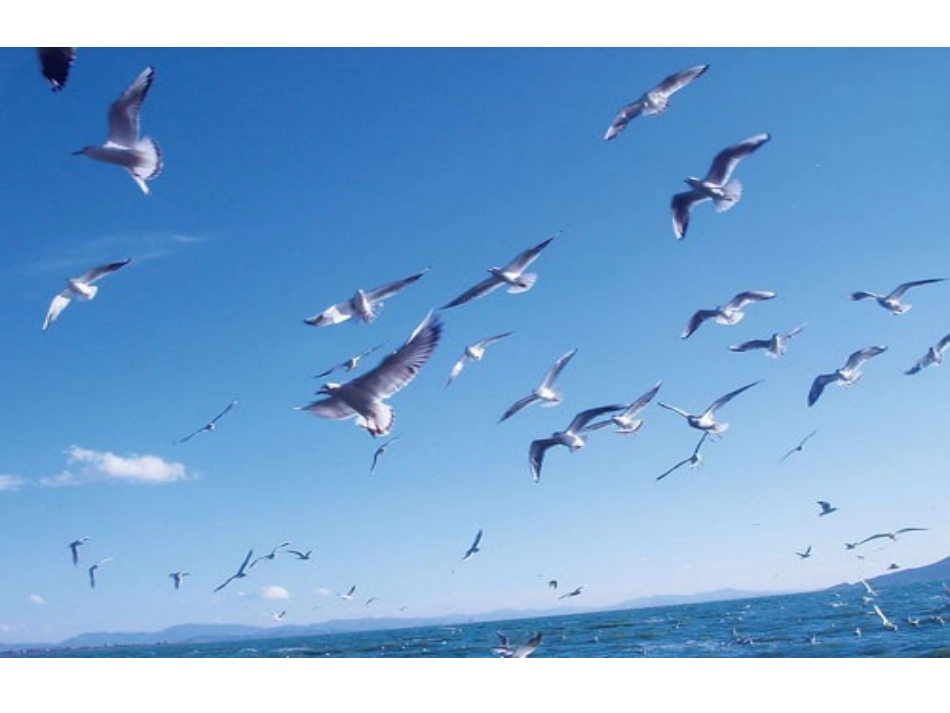 让作文有点思辨色彩(201506)_第2页