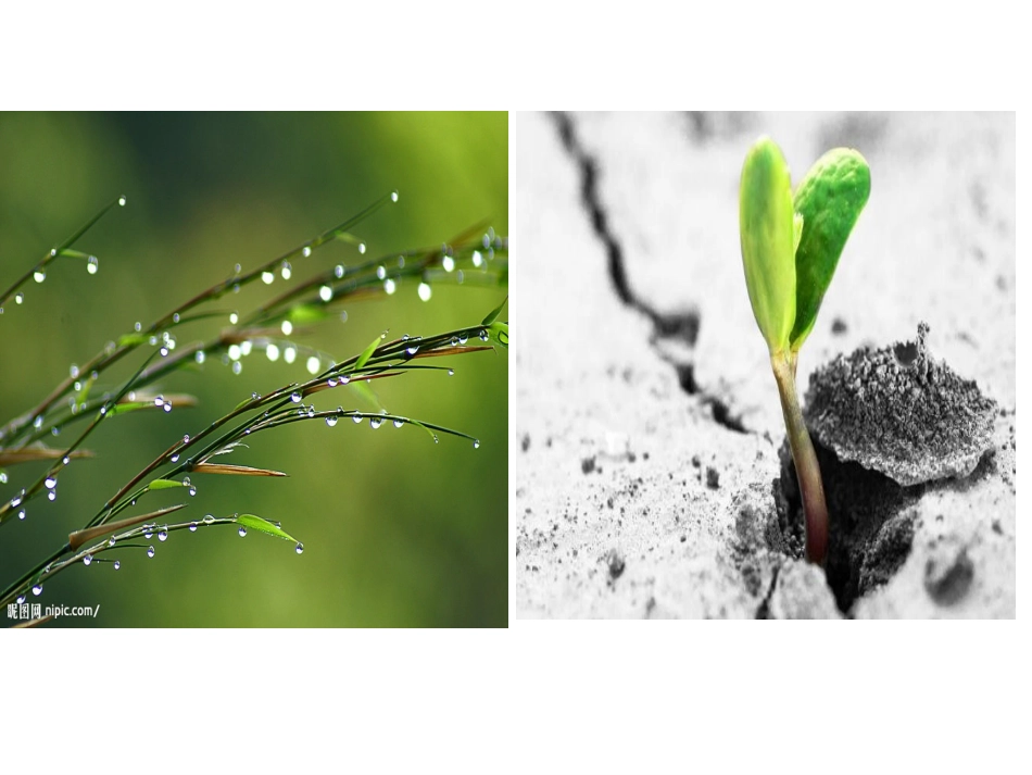 让作文有点思辨色彩(201506)_第3页