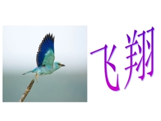 让作文有点思辨色彩(201506)