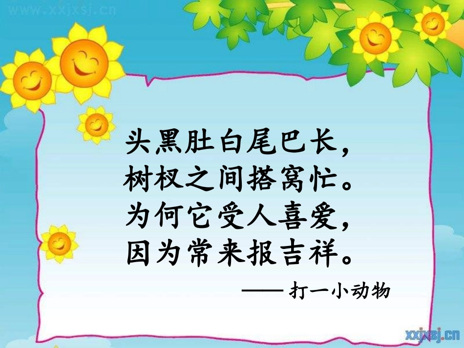 9枫树上的喜鹊_第1页