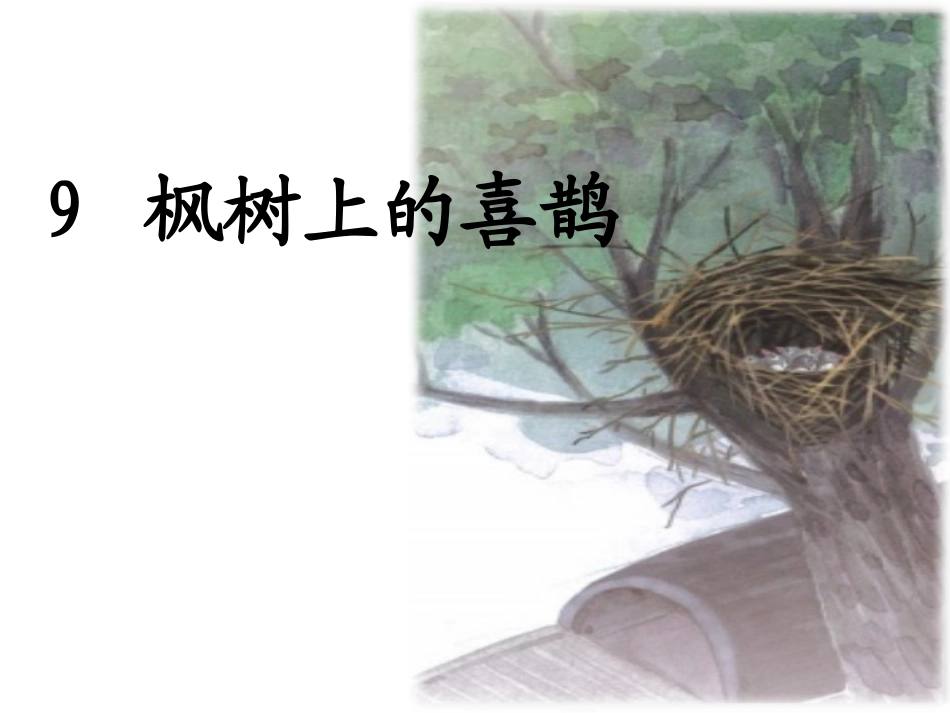 9枫树上的喜鹊_第3页