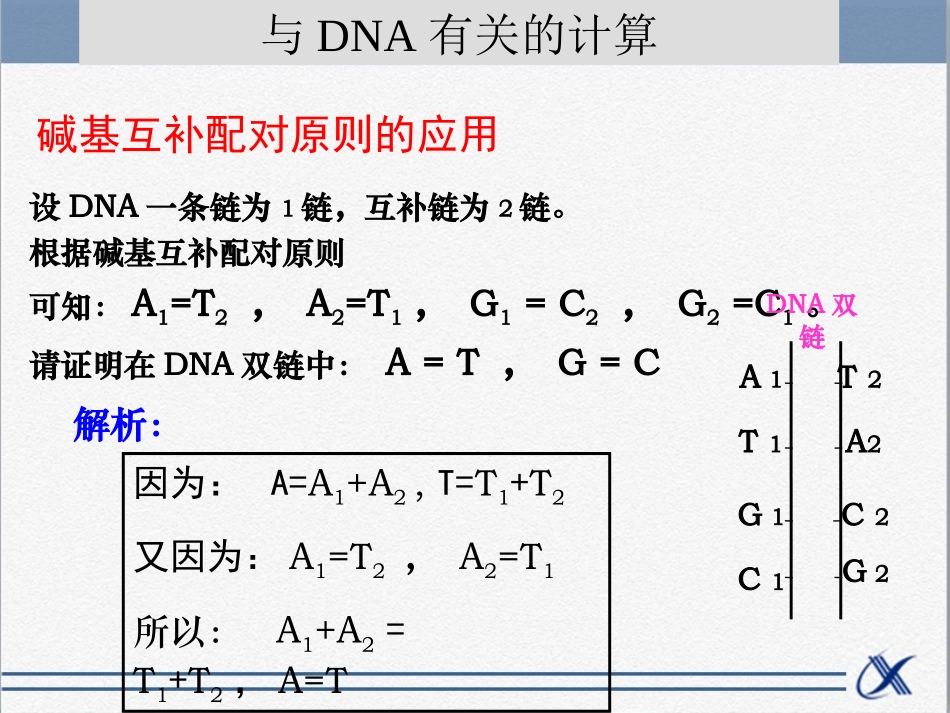 知识点-与DNA有关的计算_第2页