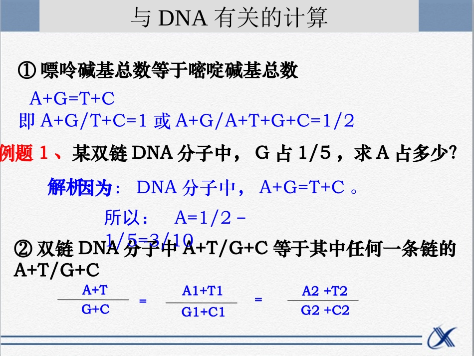 知识点-与DNA有关的计算_第3页