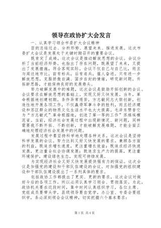 领导在政协扩大会发言