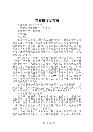 青春榜样发言稿