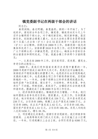 镇党委副书记在两级干部会的讲话