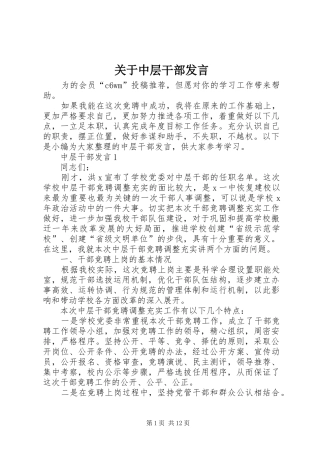关于中层干部发言
