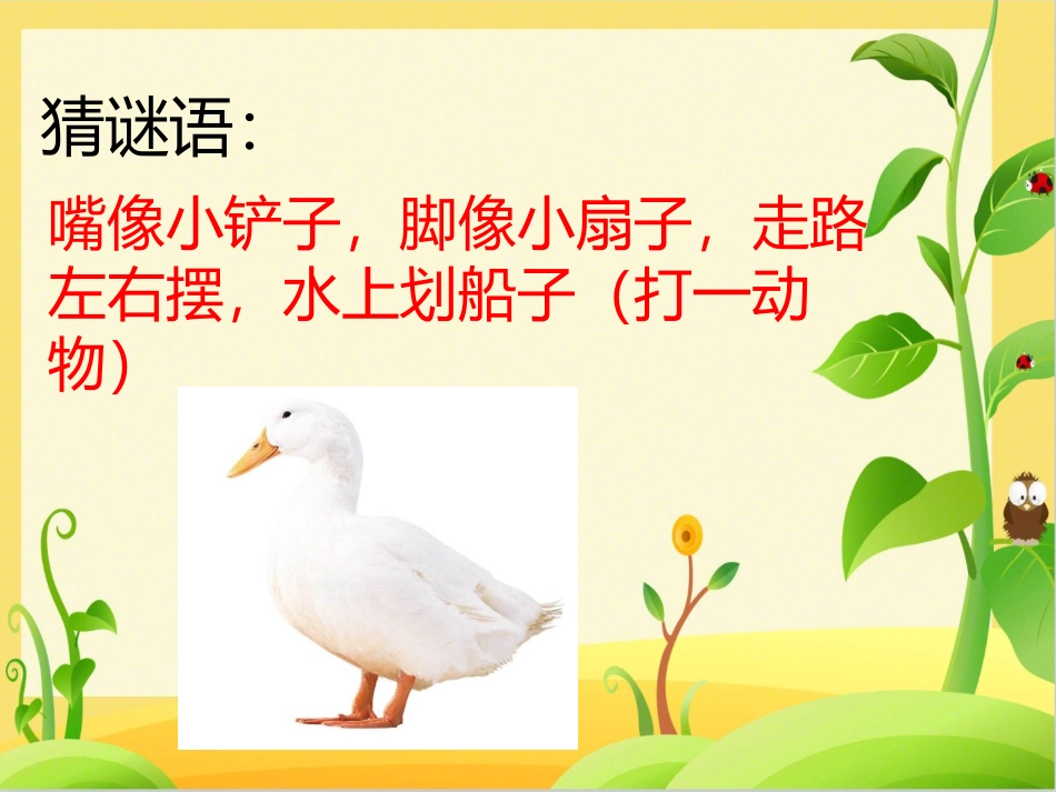 6.给动物分类_第2页