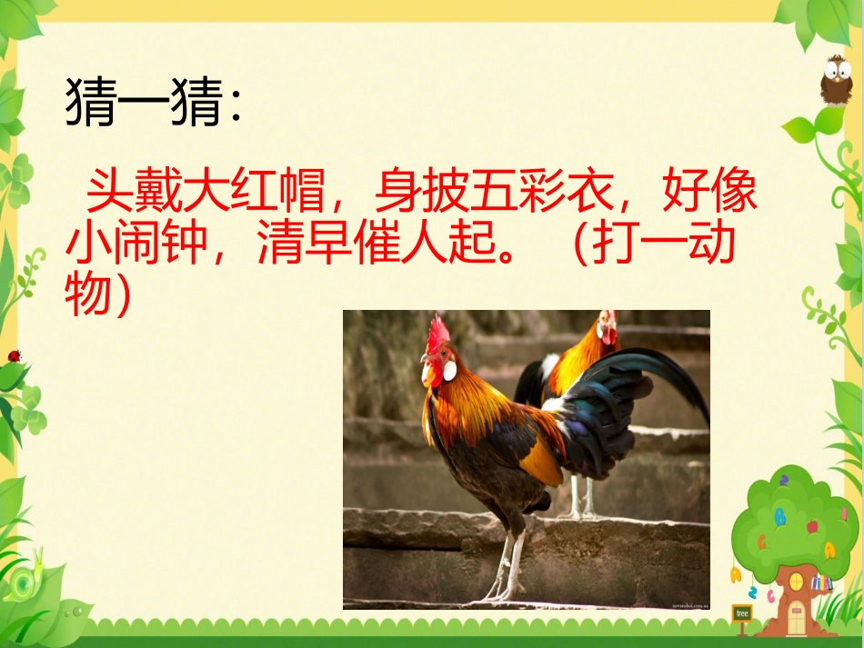 6.给动物分类_第3页