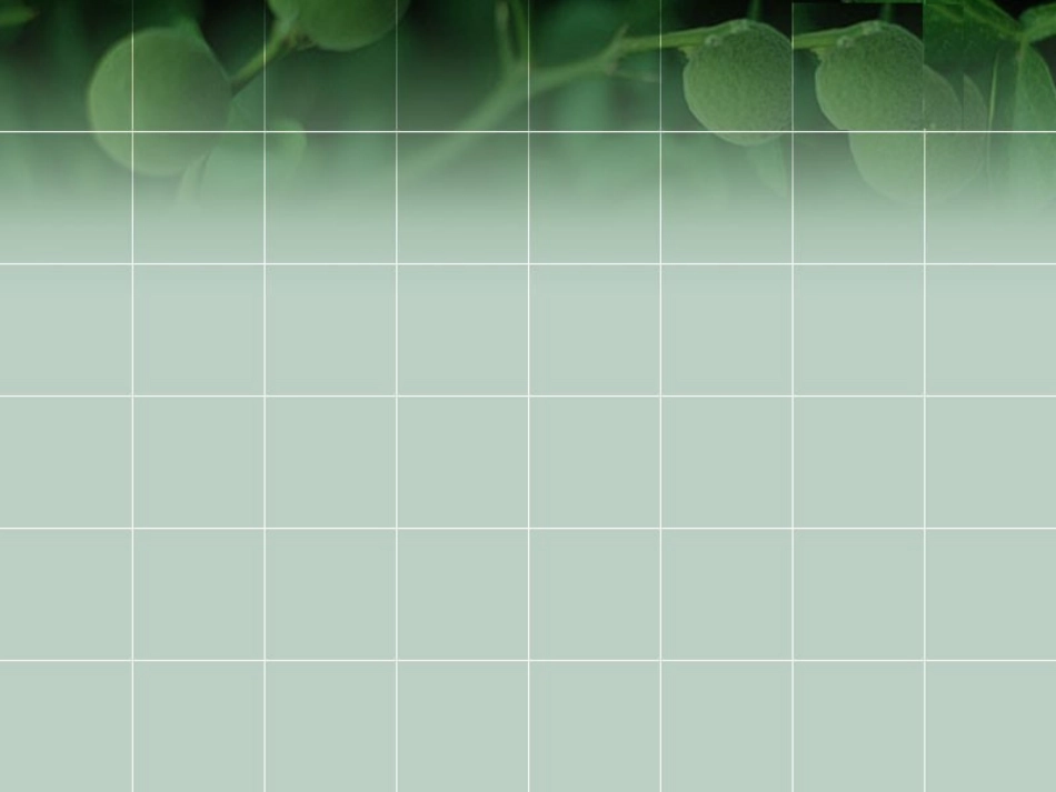 《掌声》第一课时1_第1页