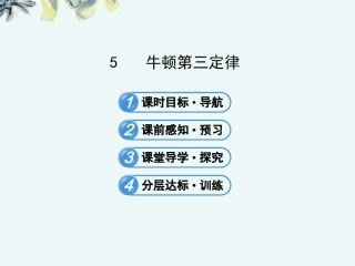 广西宾阳中学2013届高三物理阶段复习课件-4.5-牛顿第三定律-新人教版