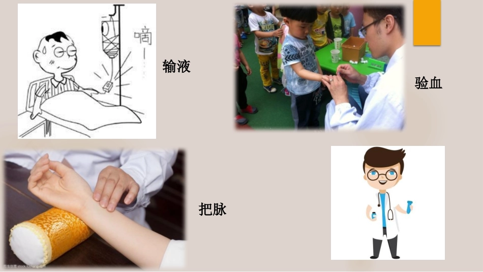 营养物质的运输_第2页