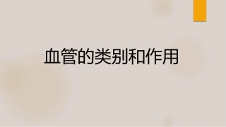 营养物质的运输